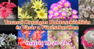 Kaktuszkiállítás és -Vásár 2023. HOL Magazin 2023.