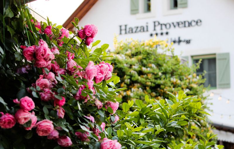 Hazai Provence, az Eventrend Group portfoliójának új tagja. HOL Magazin 2025.