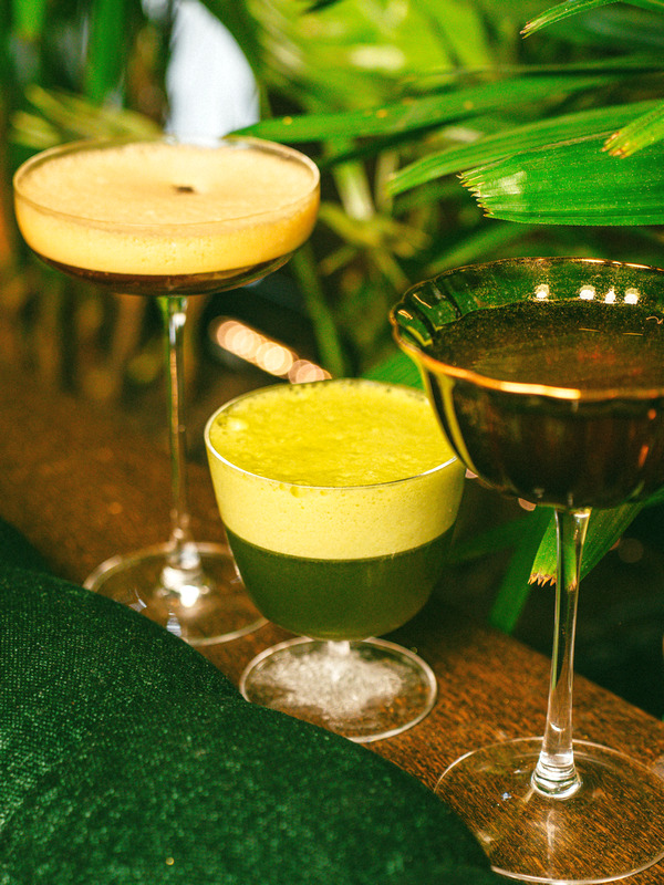 Pisco Világnap a VIBE Budapestben. HOL Magazin 2026.