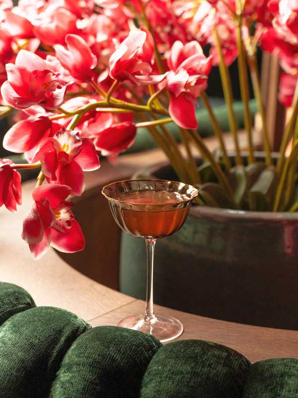 Pisco Világnap a VIBE Budapestben. HOL Magazin 2026.